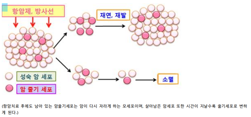 integrated_3